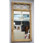 989 5520 MIRROR
